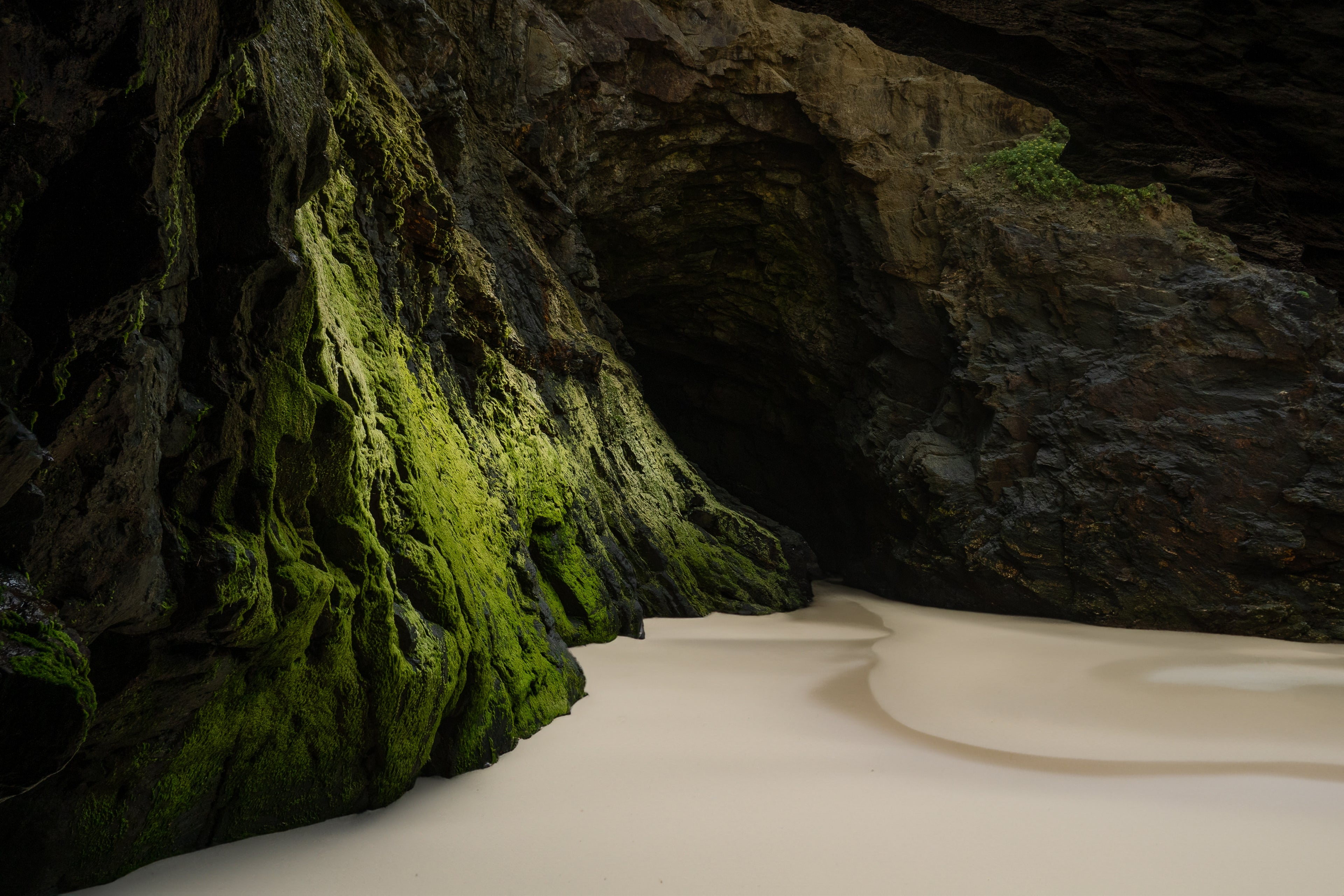 Insterquilinis Invenitur. 07