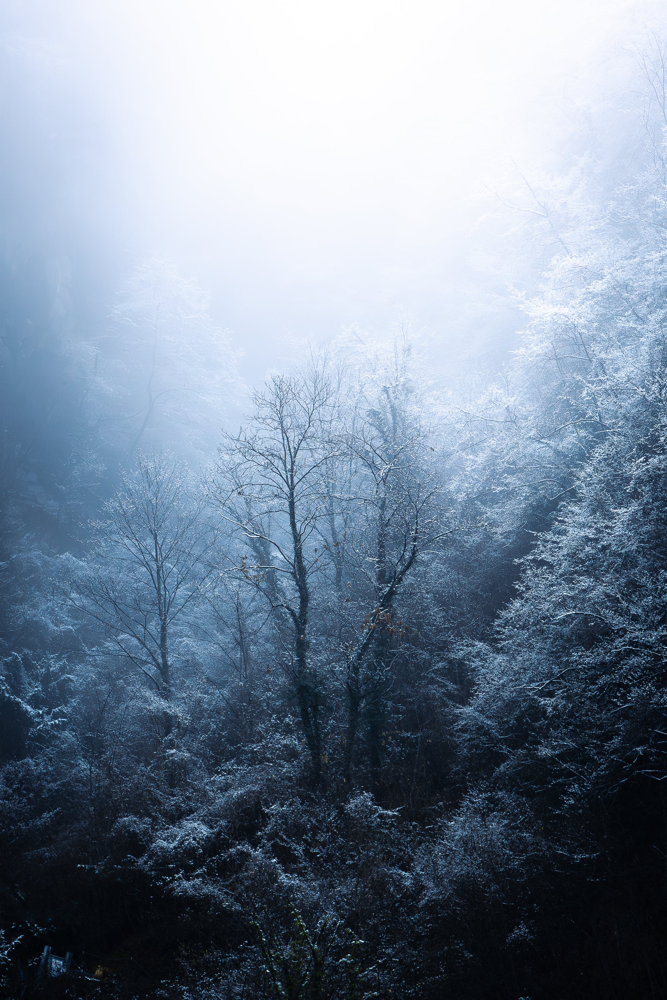 As Above so Below. 12