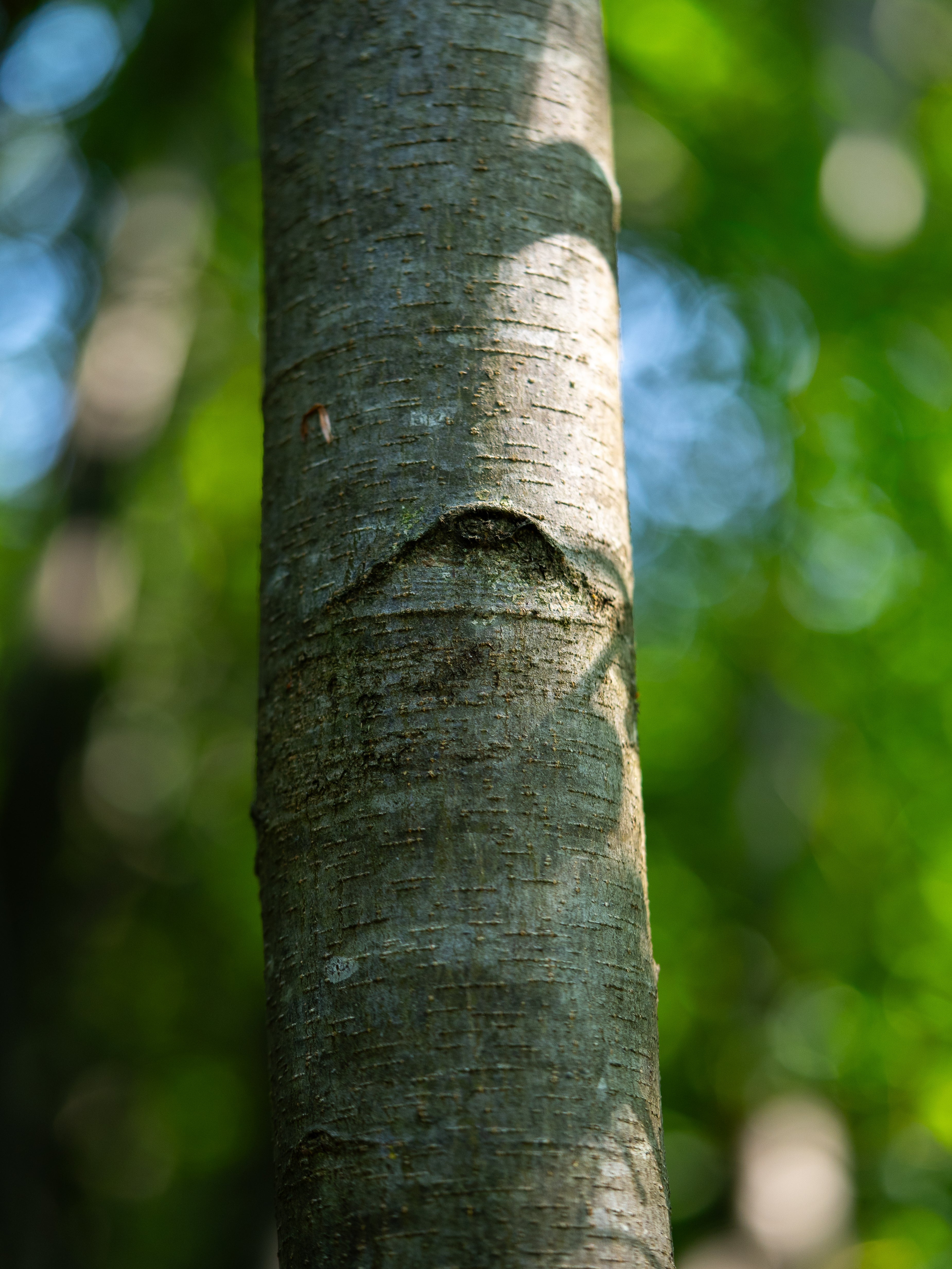 Segnali deboli nell'amore